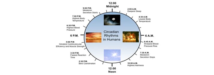 Sleep Habits in Shelburne VT