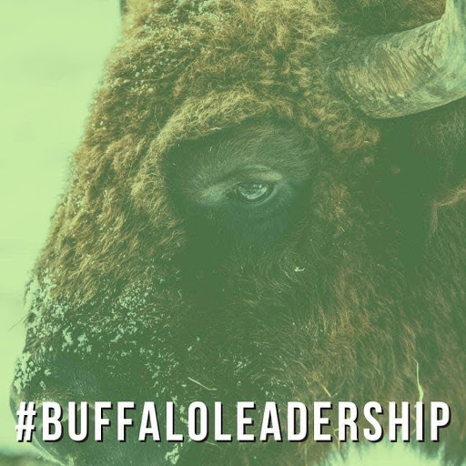 BuBuffalo Leadershipffalo Leadership